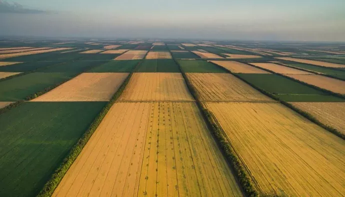 100 днів ринку землі: на Полтавщині уклали угод на 6,3 тисячі гектарів землі