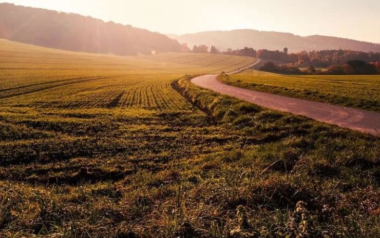 Ринок землі: на Полтавщині зареєстрували 389 земельних угод
