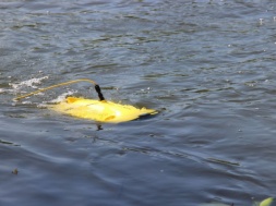 Вопрос безопасности: на Криворожской ТЭС используют подводный дрон
