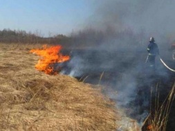 Экологическая катастрофа: под Днепром сжигание травы убивает животных и людей