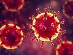 У Кременчуці кількість хворих на коронавірус зросла до 35: 14 нових випадків за вчора