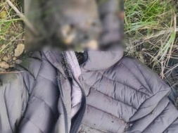 На границе Украина – Румыния найден разложившийся труп в зимней одежде