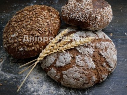 В Днепре каждый месяц продолжит дорожать хлеб – эксперт