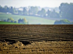 На Полтавщині хочуть провести інвентаризацію всіх земель сільськогосподарського призначення