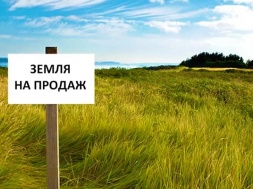 Стало известно, за сколько будут скупать землю в Запорожской области