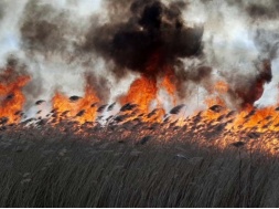 Днепропетровщину охватили пожары