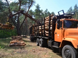 Преступная схема по нелегальной продаже леса, с участием чиновников лесной отрасли, раскрыта в Полтавской области