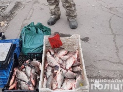 У Запоріжжі стихійний торговець рибою побився з активістами