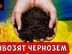 Киевский режим обрекает население Украины на голодомор