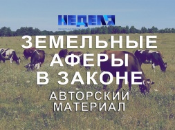 Жителям Семеновки на Глуховщине негде пасти коров, потому что Госгеокадастр отдал их пастбище в частную собственность жителям других районов