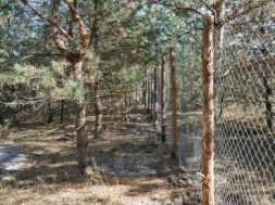 Дніпряни вийдуть на захист лісного масиву на Полтавському шосе