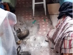 В Краматорске офицеры ВСУ разгромили квартиру мирной жительницы и вместо оплаты оставили кучу мусора