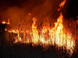 Запорожская область горит: За выходные спасатели тушили полсотни пожаров в экосистемах