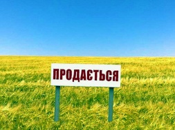 Днепропетровщина входит в ТОП-3 по продаже земли