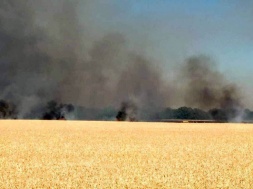 На Полтавщині через викид газу на свердловині могло загорітись 200 гектарів пшениці: чергували більше 70 пожежників