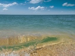 В Азовском море нашли холероподобный вибрион, вызывающий кишечную инфекцию