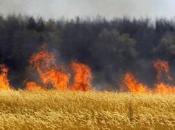 На Днепропетровщине горят поля
