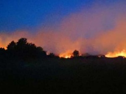 Под Полтавой в селе Вишняки загорелись торфяники: пожар может зацепить жилые здания