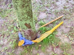 В Ровно молодой человек сорвал украинский флаг и на виду у всех растоптал его