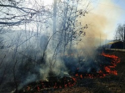 У Лохвицькому районі Полтавщини триває гасіння масштабної пожежі на торфовищі