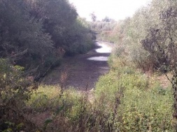 «Немає води в колодязях і ставках». Жителі сіл на Сумщині звинувачують орендаря у пересиханні водойм