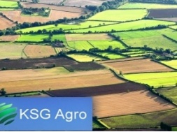 Стало известно, кому KSG Agro продал предприятие на Днепропетровщине