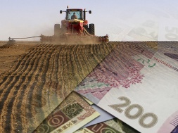 Сумские аграрии отправились в ОАЭ за инвестициями и опытом