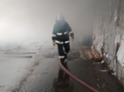 В Полтавской области сгорела ферма со свиньями