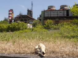 Под Днепром неизвестные разрывают могильники на химически опасном предприятии