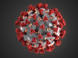 У Запорізькій області статистика виявлення коронавірусу стрімко почала зростати