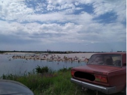 Голубые озера под Днепром утопают в мусоре: отдыхающие просят принять меры