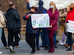 «Захват» леса под Днепром: недовольные обратились к президенту Зеленскому