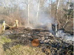 Полтавщина палає: рятувальники 34 рази виїжджали на пожежі сухої рослинності