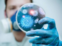 На Шосткинщині виявили декілька спалахів різних інфекційних хвороб