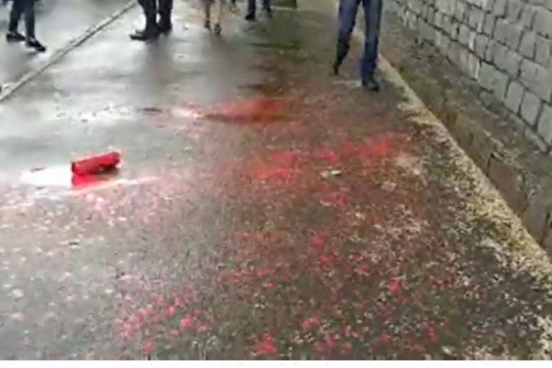 В Днепре во время «Марша мира» участников пытались облить краской