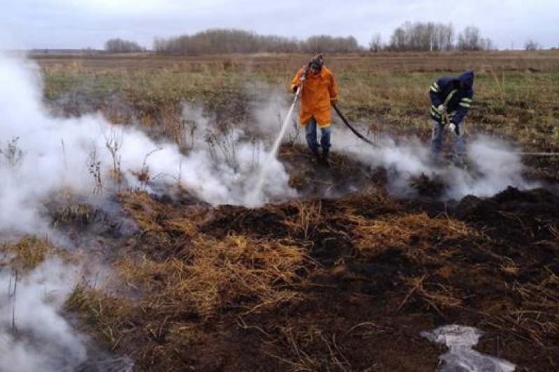 На Полтавщині не припиняються пожежі на покладах торфу