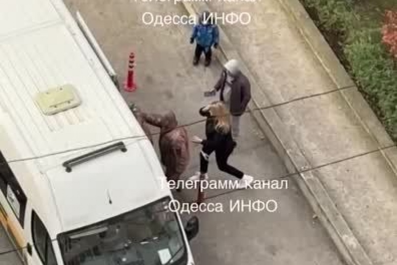 В Одессе женщина отбила мужа у военкомов, когда те запихивали его в карету «скорой»