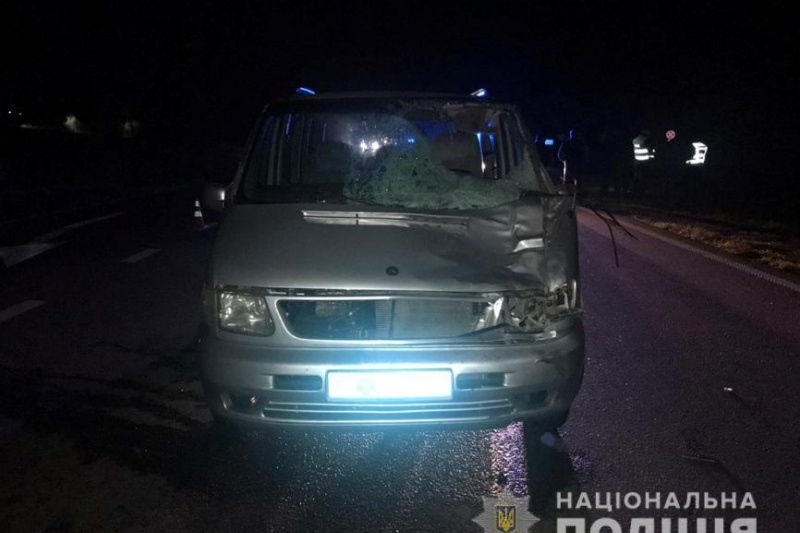 В Запорожской области служебное авто ГУНП насмерть сбило пешехода
