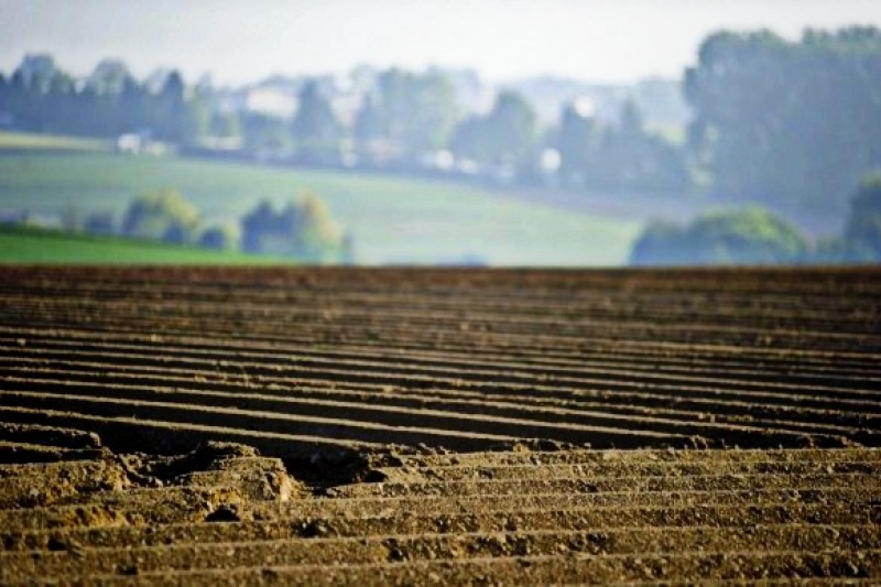 На Полтавщині хочуть провести інвентаризацію всіх земель сільськогосподарського призначення