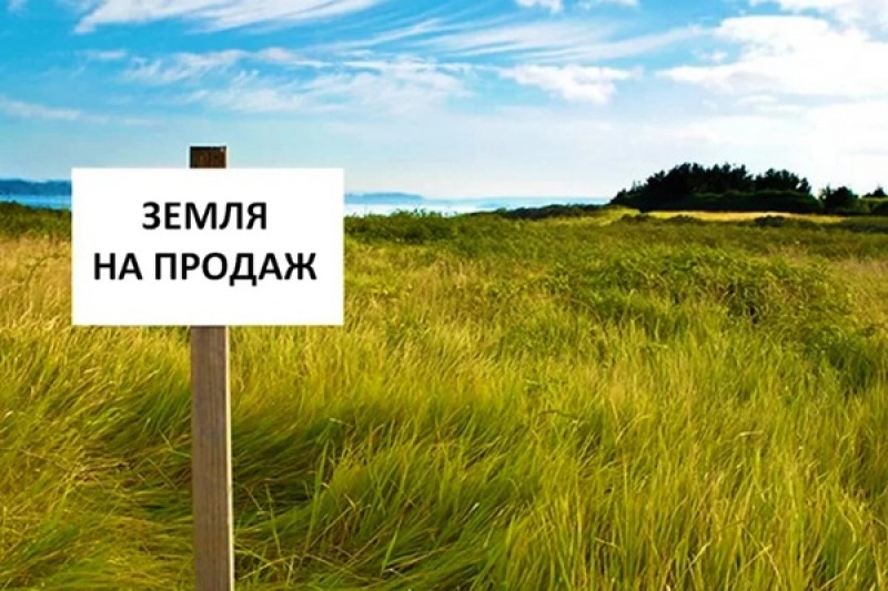 Стало известно, за сколько будут скупать землю в Запорожской области