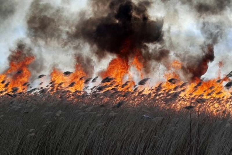 Днепропетровщину охватили пожары