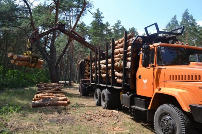 Преступная схема по нелегальной продаже леса, с участием чиновников лесной отрасли, раскрыта в Полтавской области