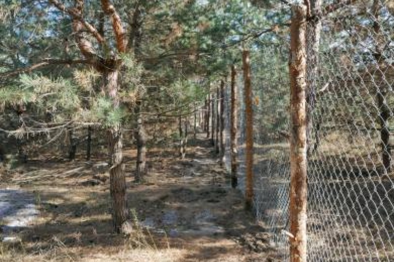 Дніпряни вийдуть на захист лісного масиву на Полтавському шосе