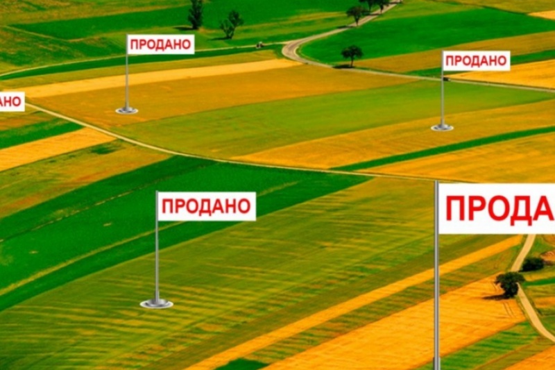 В Запорожской области продали сельскохозяйственных земель почти 1,7 миллионов