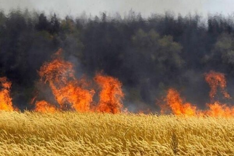 На Днепропетровщине горят поля