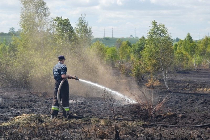 Полтавщина: Пожежники продовжують гасити загорання торфу