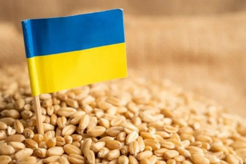 Польша, Венгрия, Болгария и Словакия продлевают запрет на вывоз украинского зерна. За что воюем, панове?