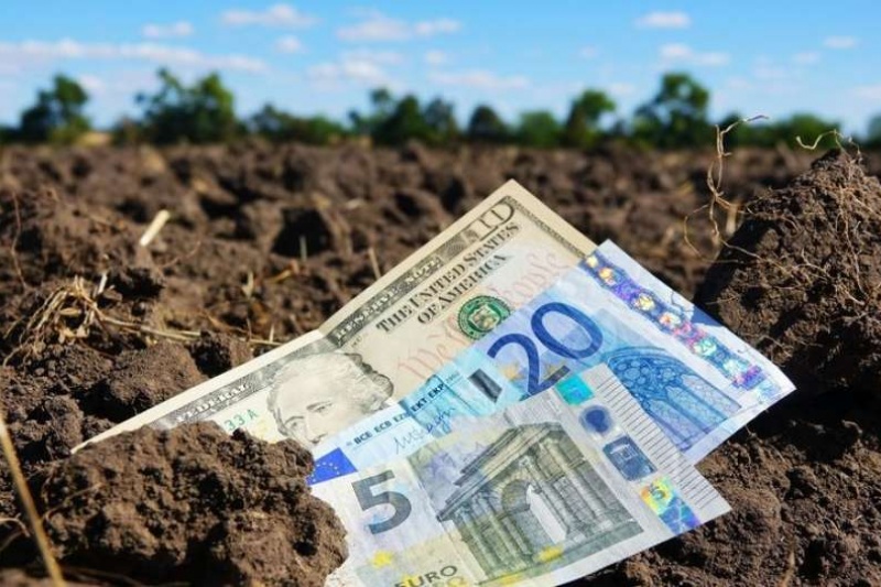 Ринок землі на Сумщині: Загальна сума угод перевищила 184 млн гривень