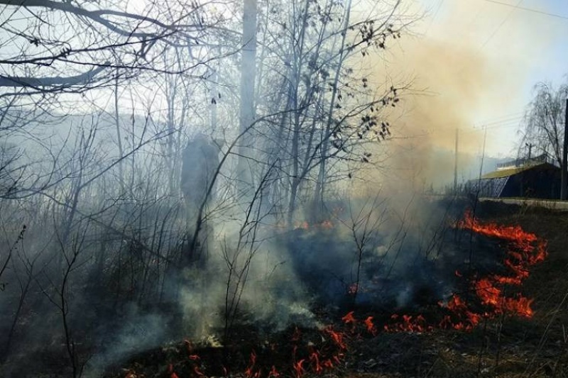 У Лохвицькому районі Полтавщини триває гасіння масштабної пожежі на торфовищі