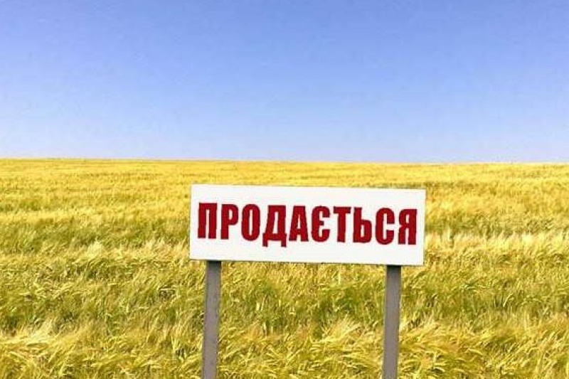Скільки землі продали в Запорізькій області після відкриття ринку